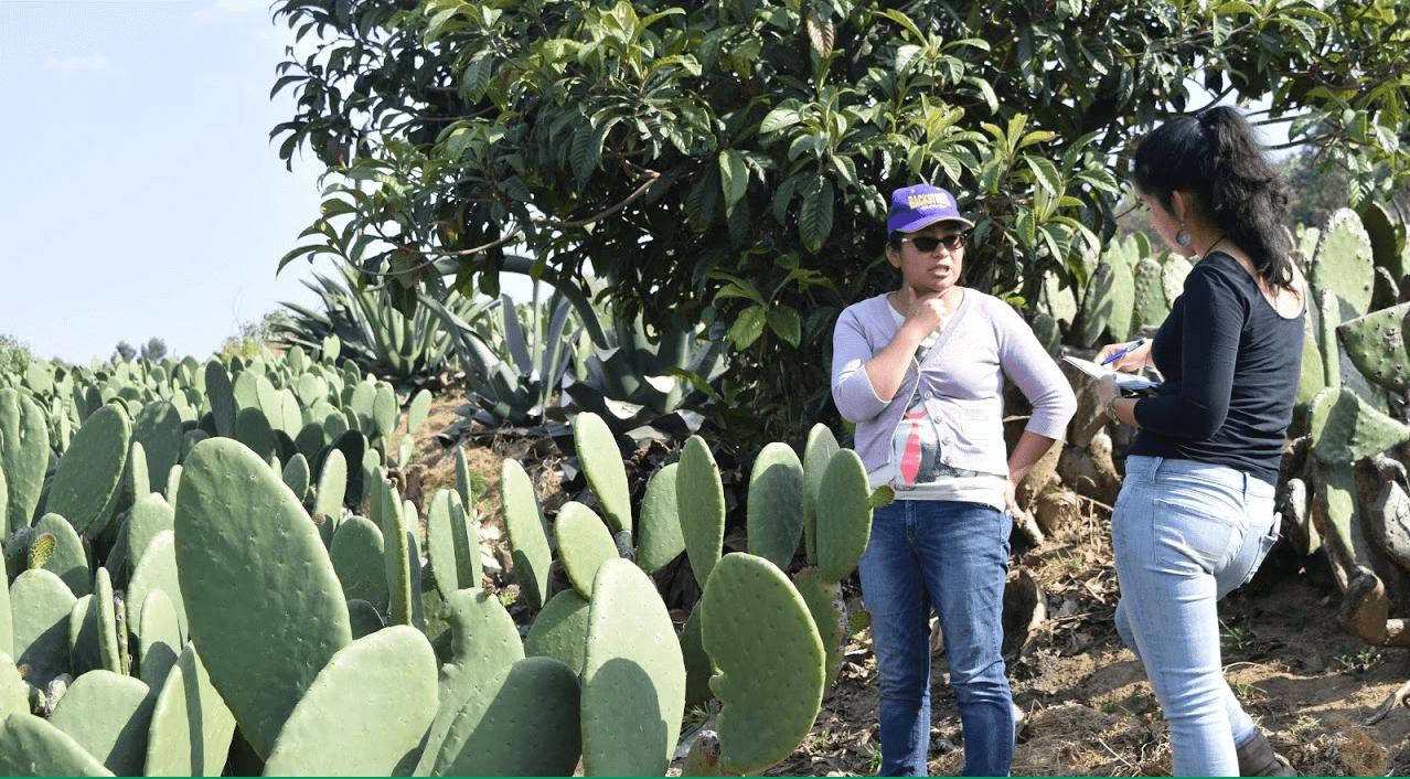 Imagen encuesta a agricultoras